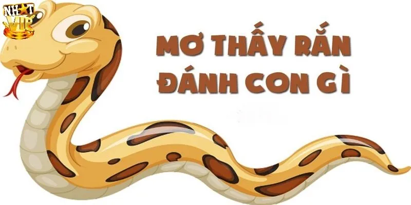 Mơ Thấy Rắn Đánh Con Gì? Gợi Ý Số May Mắn Và Giải Mã Ý Nghĩa Mơ Thấy Rắn Đánh Con Gì? Gợi Ý Số May Mắn Và Giải Mã Ý Nghĩa