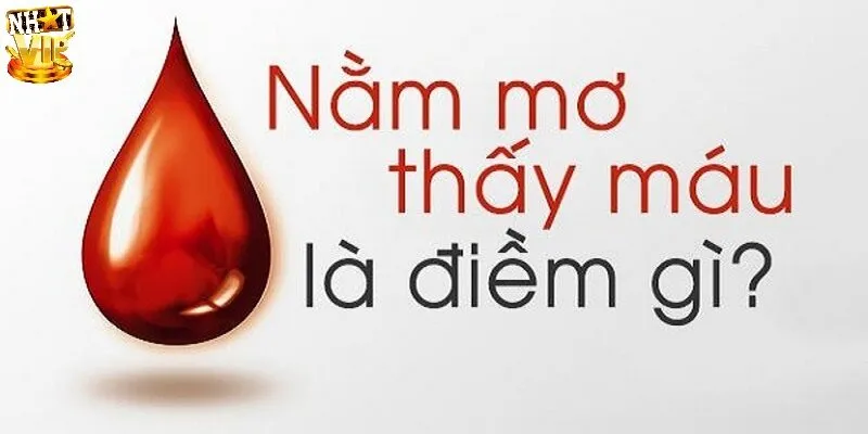 Mơ Thấy Máu Đánh Con Gì? Gợi Ý Các Con Số May Mắn Chơi Lô Đề Mơ Thấy Máu Đánh Con Gì? Gợi Ý Các Con Số May Mắn Chơi Lô Đề