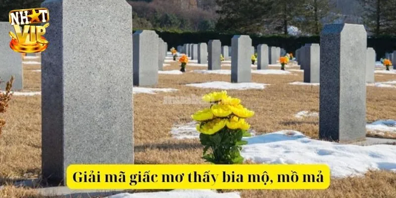 Mơ Thấy Mộ Là Điềm? Giải Mã Giấc Mơ Và Con Số Mới Nhất 2024 Mơ Thấy Mộ Là Điềm? Giải Mã Giấc Mơ Và Con Số Mới Nhất 2024